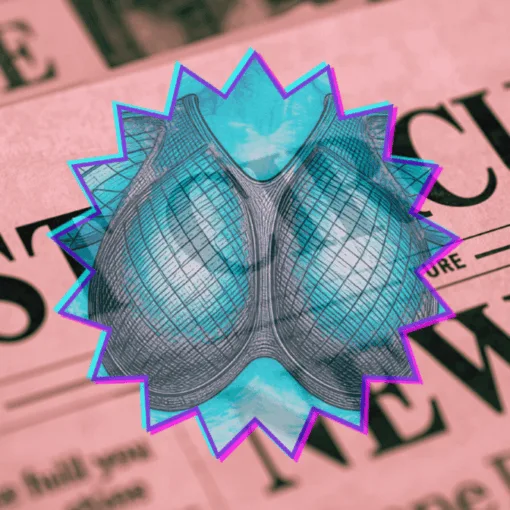 1st Circuit Breast Mesh News headline featuring an internal bra implant