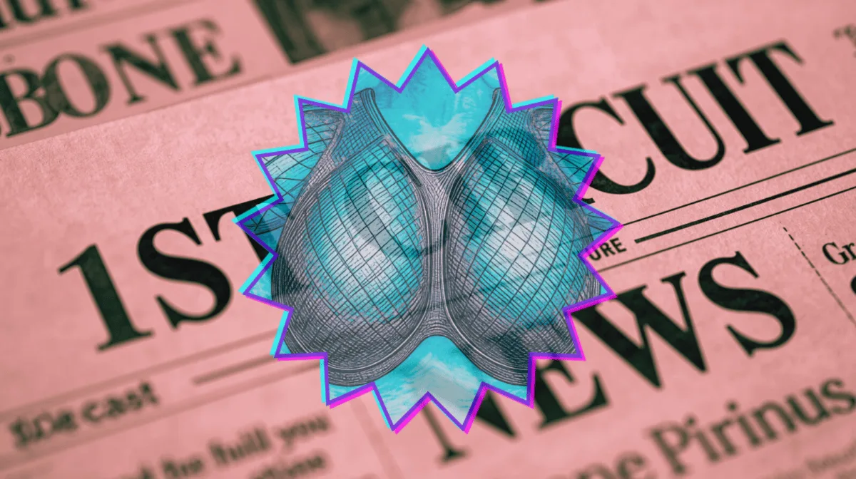 1st Circuit Breast Mesh News headline featuring an internal bra implant