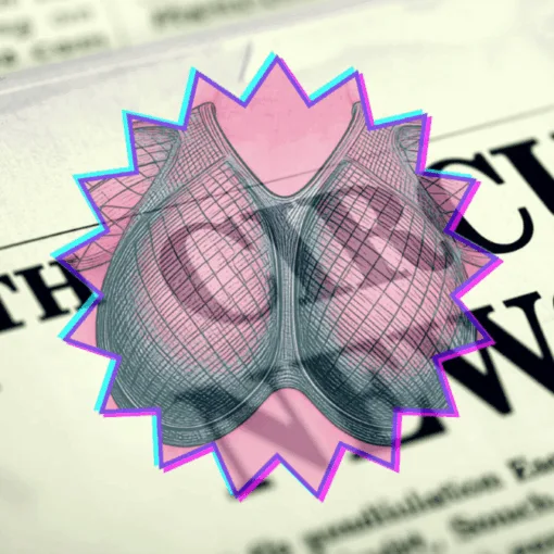 11th Circuit Breast Mesh News headline featuring an internal bra implant