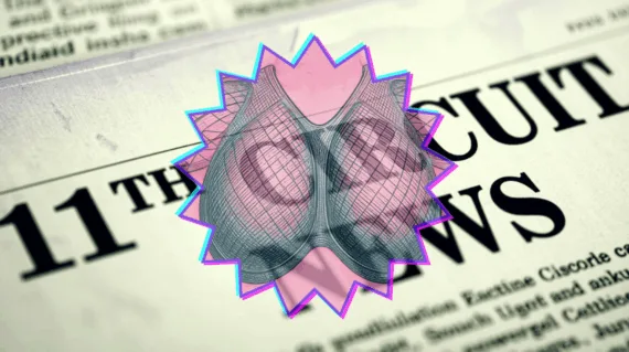 11th Circuit Breast Mesh News headline featuring an internal bra implant