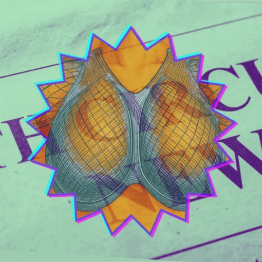 4th Circuit Breast Mesh News headline featuring an internal bra implant