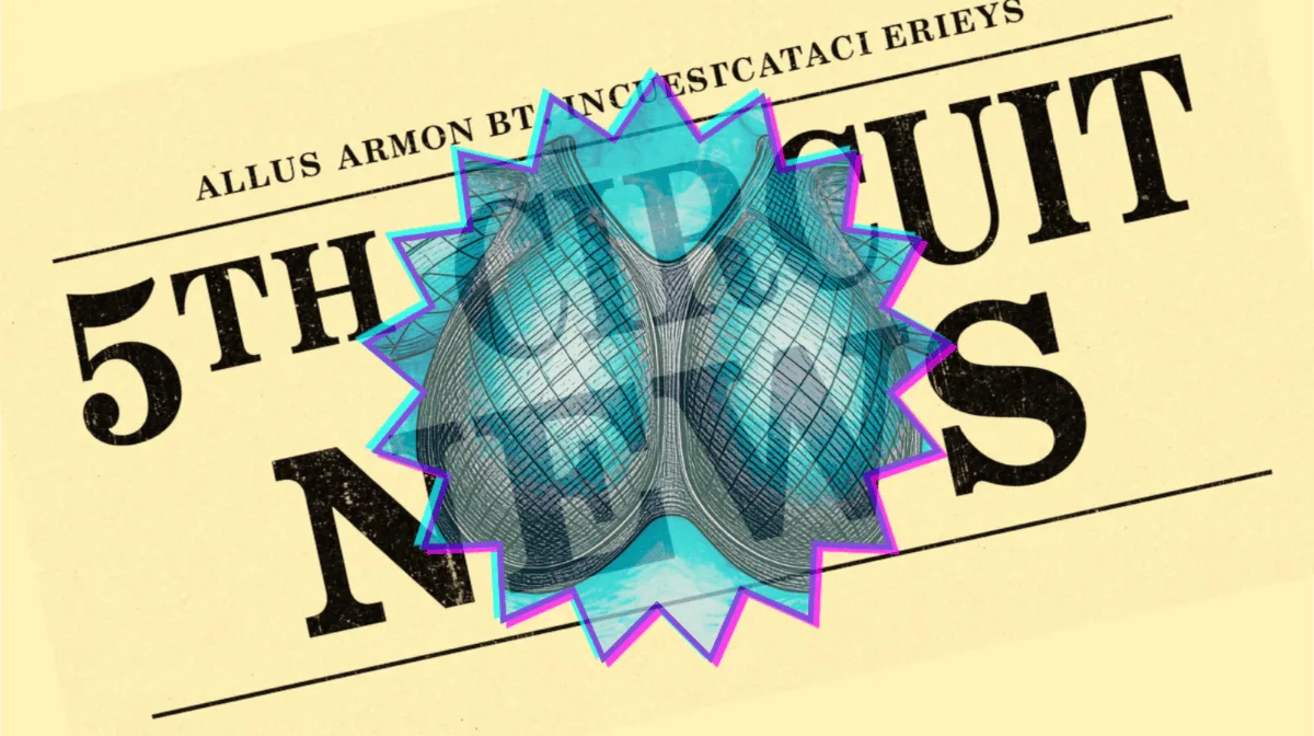 5th Circuit Breast Mesh News headline featuring an internal bra implant