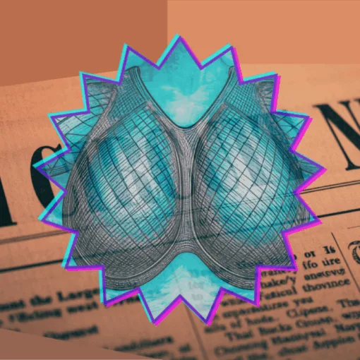 6th Circuit Breast Mesh News headline featuring an internal bra implant