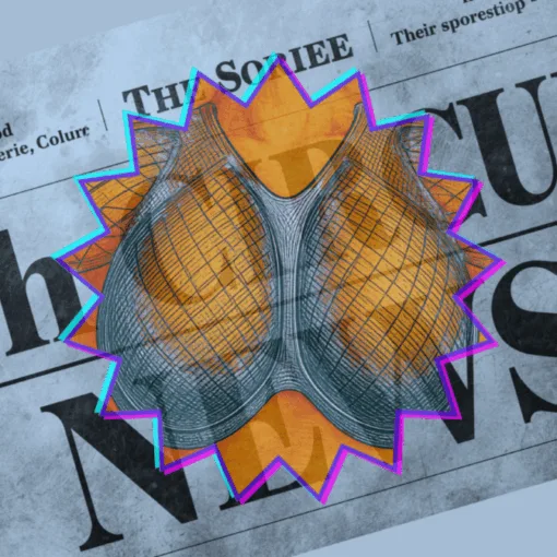 7th Circuit Breast Mesh News headline featuring an internal bra implant