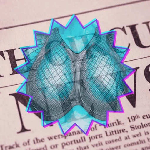 8th Circuit Breast Mesh News headline featuring an internal bra implant