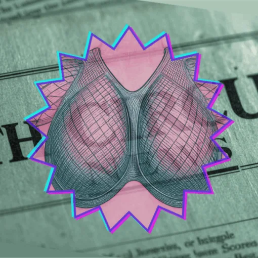 9th Circuit Breast Mesh News headline featuring an internal bra implant